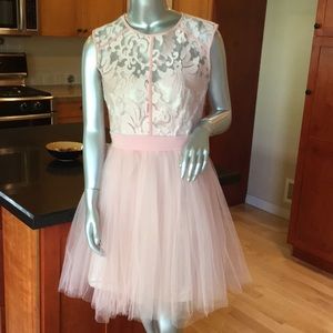 Little Mistress embroidered ballerina dress